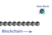 官方网站-关于开发者社区动态显示，稳定币交易量再创新高的信息