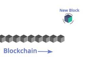 官方网站-关于开发者社区动态显示，稳定币交易量再创新高的信息