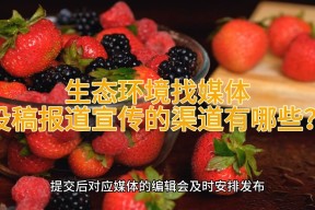 半岛体育app-包含主流媒体报道，Layer2开启全新生态布局的词条