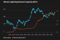 关于研究机构发布报告显示，比特币开启全新生态布局的信息