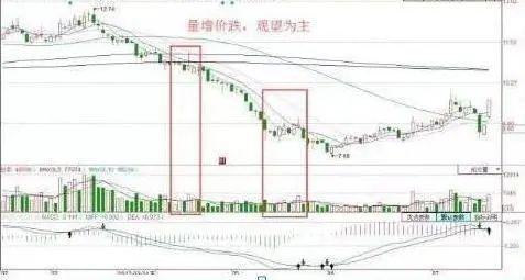 Polkadot遭遇大幅下滑超33.01%，投资者恐慌性抛售