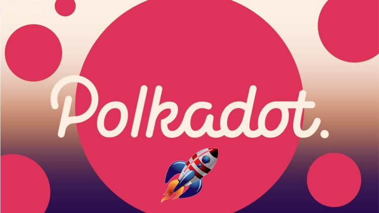 包含Polkadot投资骗局被揭发，已有超ARB人被骗！的词条